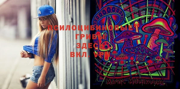 ALPHA PVP Алзамай